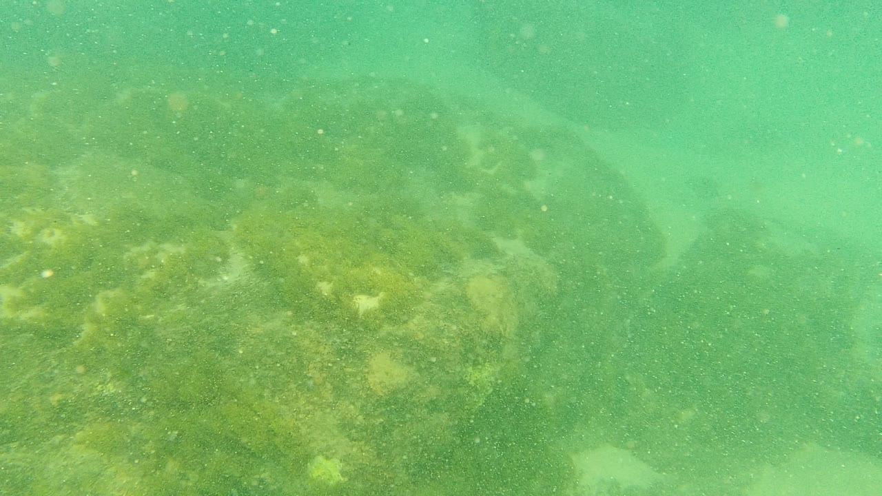 Opening underwater frame from Palmilla Los Cabos showing green water, algae-covered rocks, and suspended particles, with no visible people.