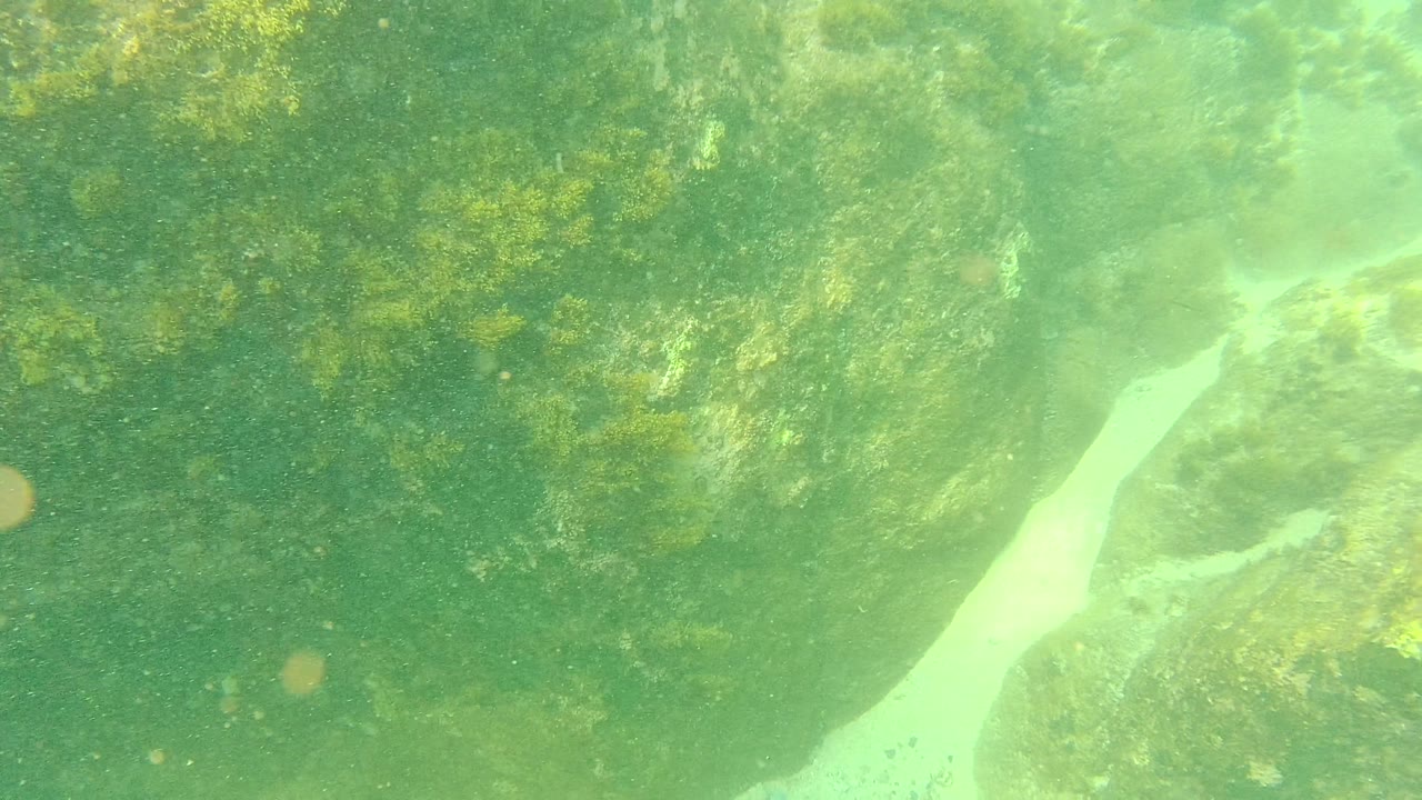 A large algae-covered rock fills the right side while a pale sand path runs behind it in Palmilla Los Cabos, Mexico, with no visible people.