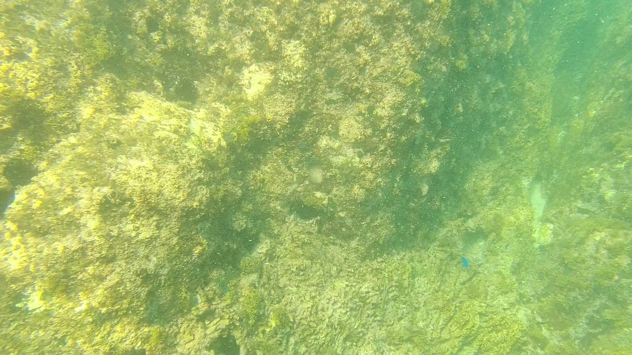 Sunlit patches cross algae-covered underwater rocks in Palmilla Los Cabos, Baja California Sur, with clear green water and no visible people.