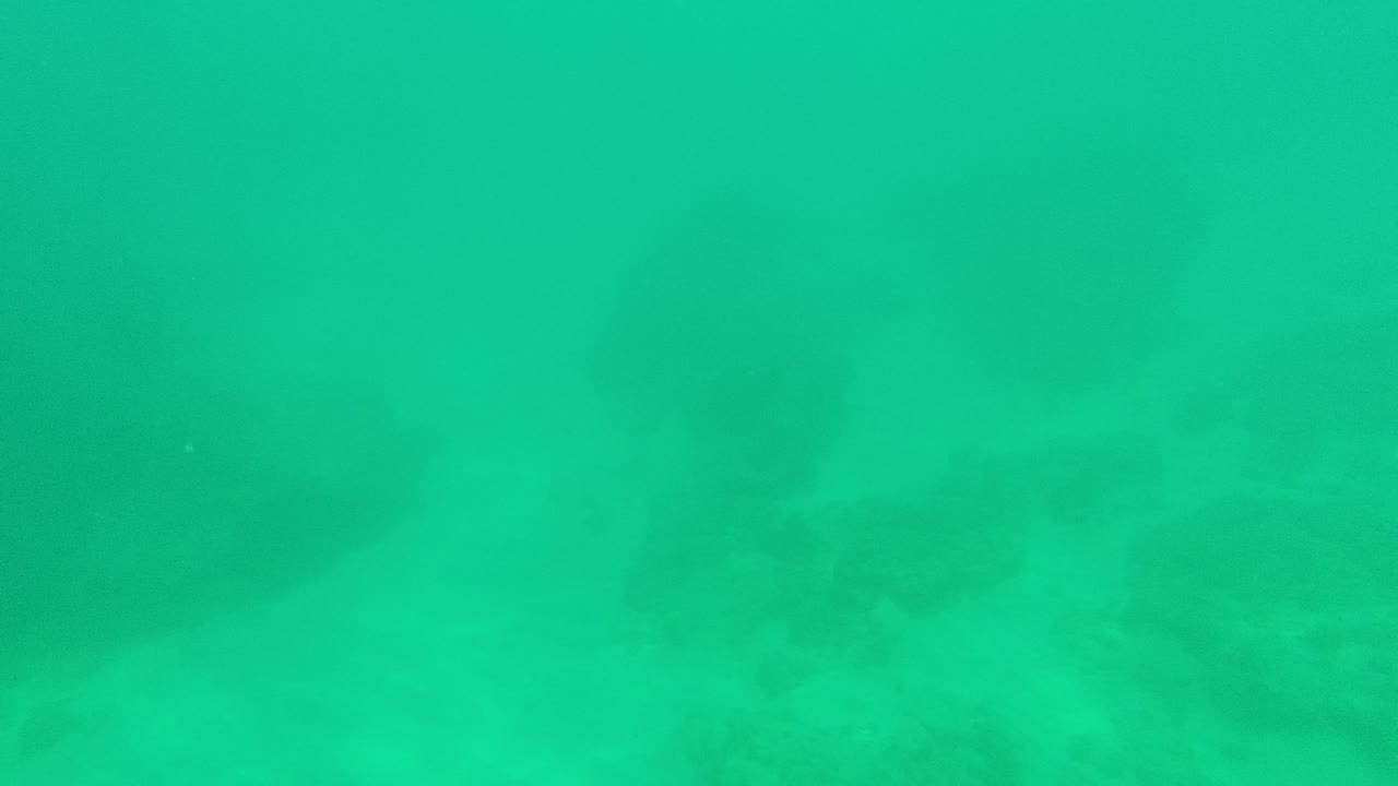 Underwater reef view from Palmilla Los Cabos with murky green water, low rocky bottom detail, and no visible people.