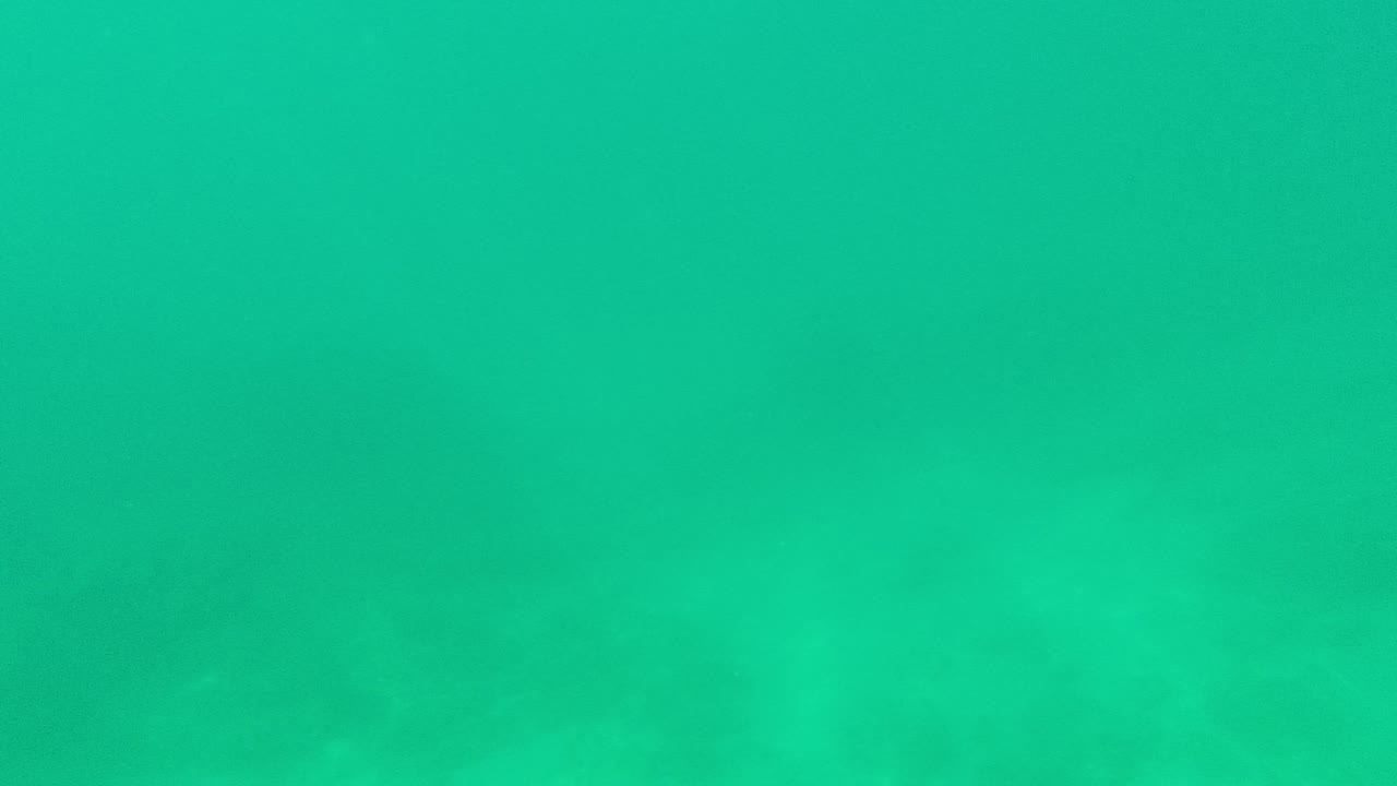At Palmilla Los Cabos, Baja California Sur, green-blue water hangs over a pale sandy seabed with faint darker rock or coral patches and no visible people.