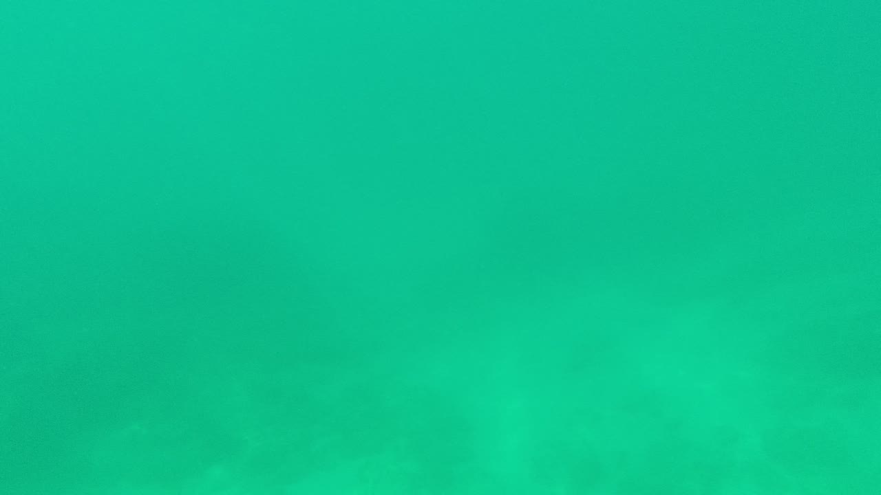 At 0:01 in Palmilla Los Cabos, clear green water fills the frame above a sandy ocean floor with soft shadowed patches and no visible people.