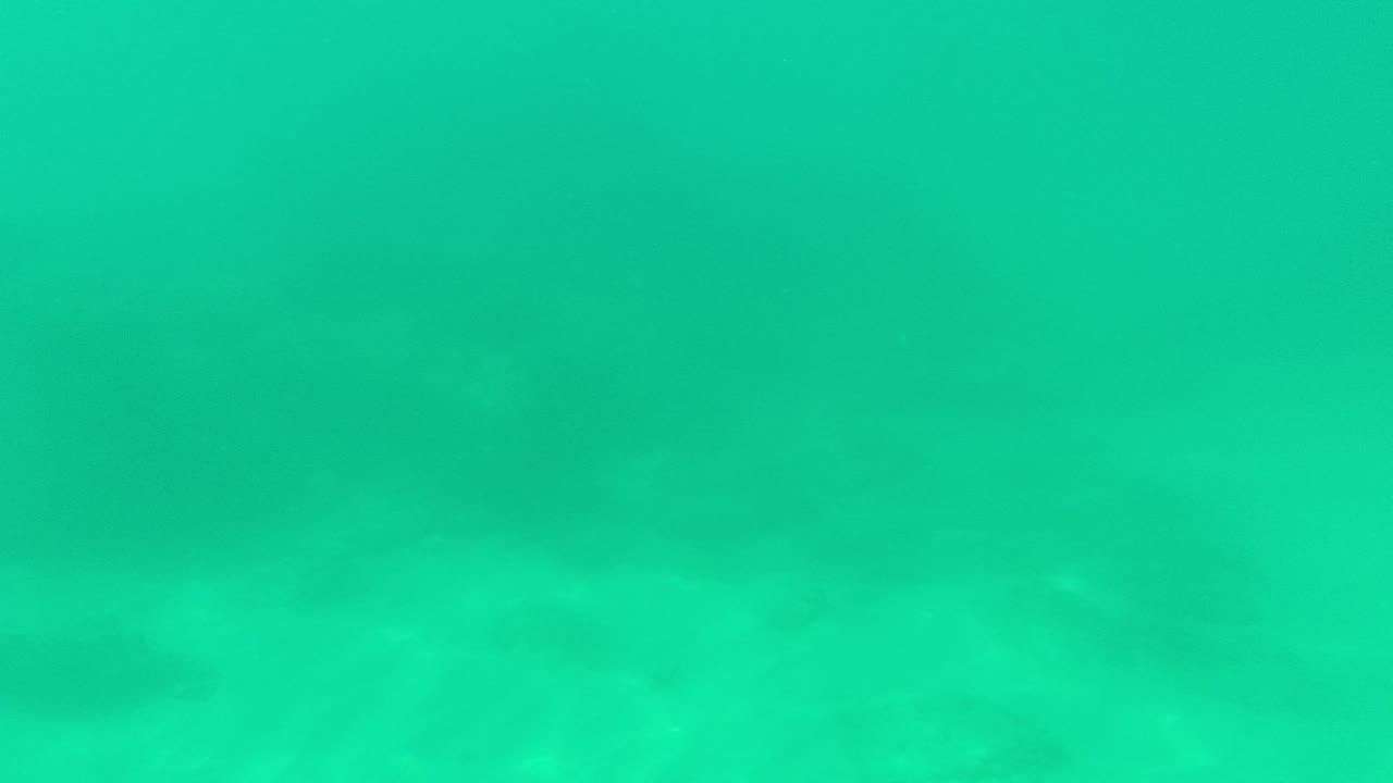 At Palmilla Los Cabos, the frame shows a pale seabed under green-blue water, with darker rock or coral forms barely visible through the water and no visible people.