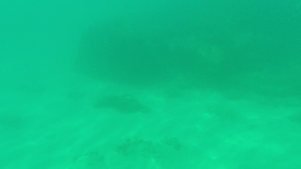 At 0:03, the Palmilla Los Cabos underwater view keeps open green water above a sandy floor with muted darker rocky patches and no visible people.