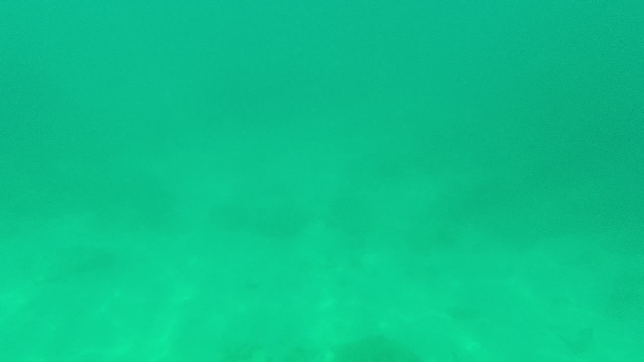 Turquoise underwater view with sandy bottom and cloudy sediment above.