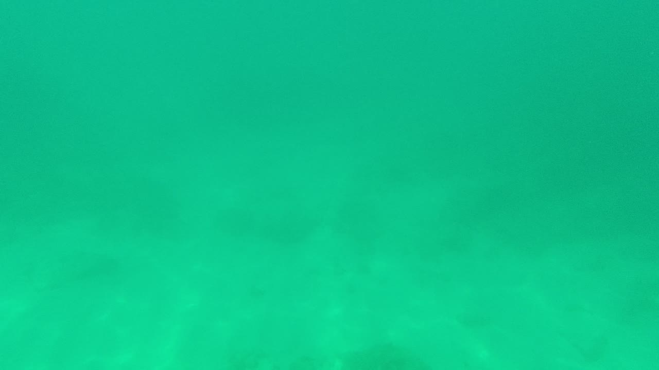 Underwater view in Palmilla Los Cabos with green turquoise water, a sandy bottom, diffuse sediment haze across the upper half, and no visible people.