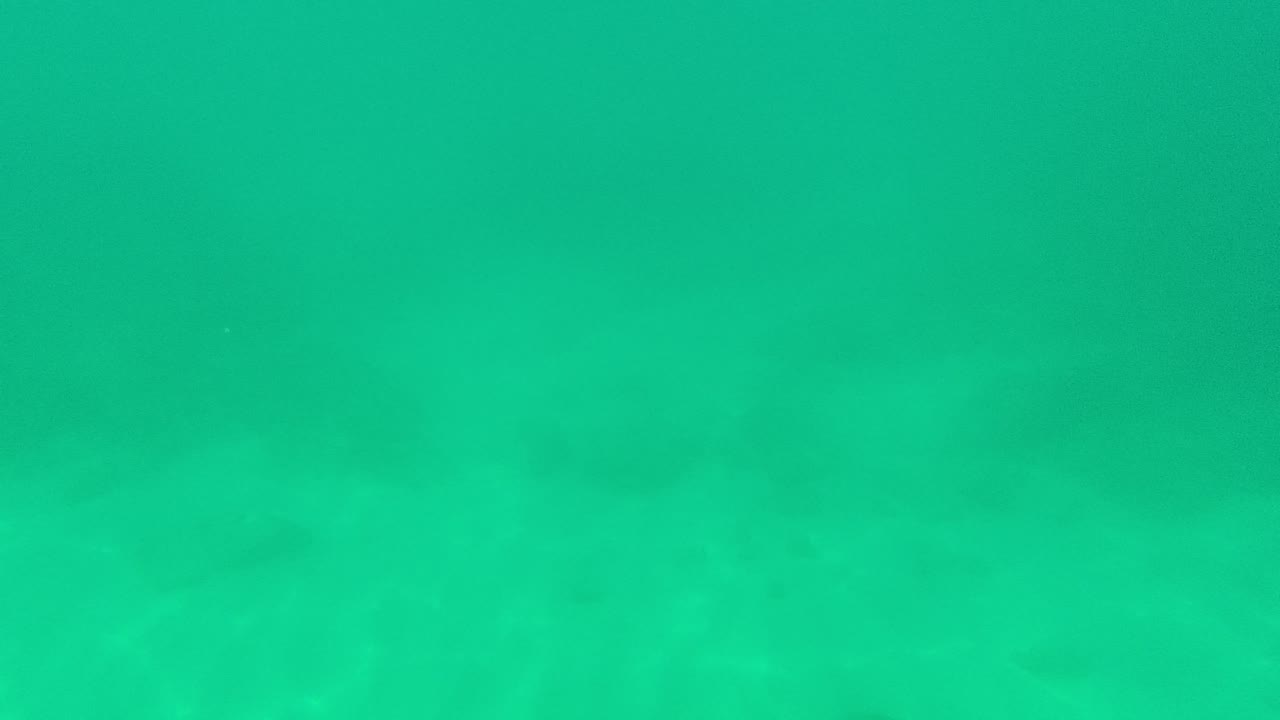 Palmilla Los Cabos underwater frame with suspended sediment spreading through the upper water and a pale sandy seabed visible underneath, with no visible people.