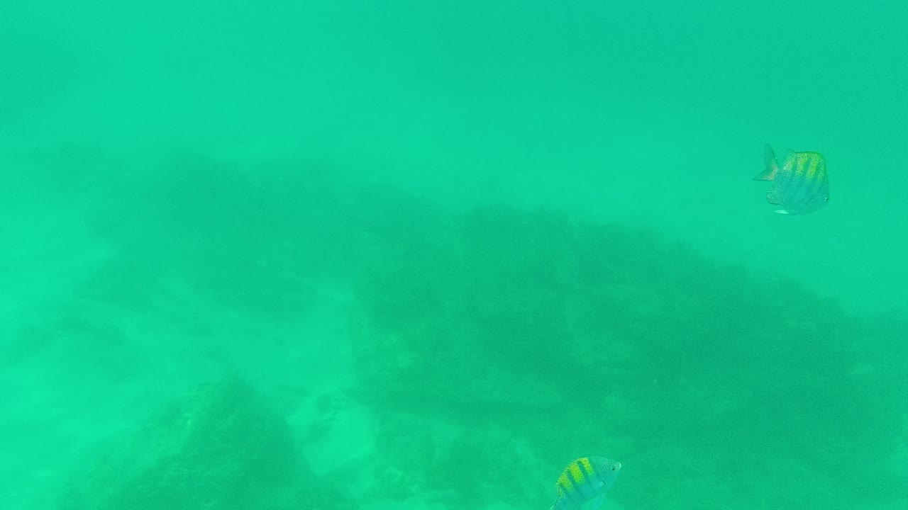 Turquoise underwater view with two small striped fish above a rocky sandy seabed.