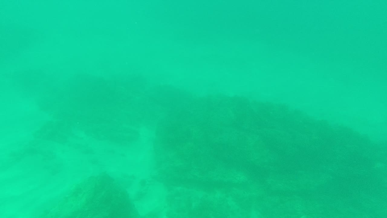 At Palmilla Los Cabos, the fish are no longer prominent and the frame shows turquoise water softening over a low sandy and rocky seabed, with no visible people.
