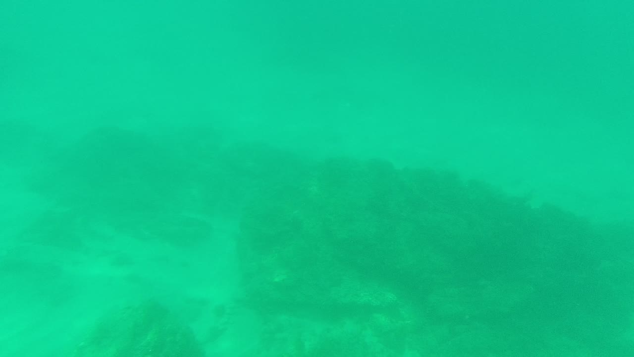 At Palmilla Los Cabos, green turquoise water fills most of the frame while the seabed appears faint and soft below, with no visible people.