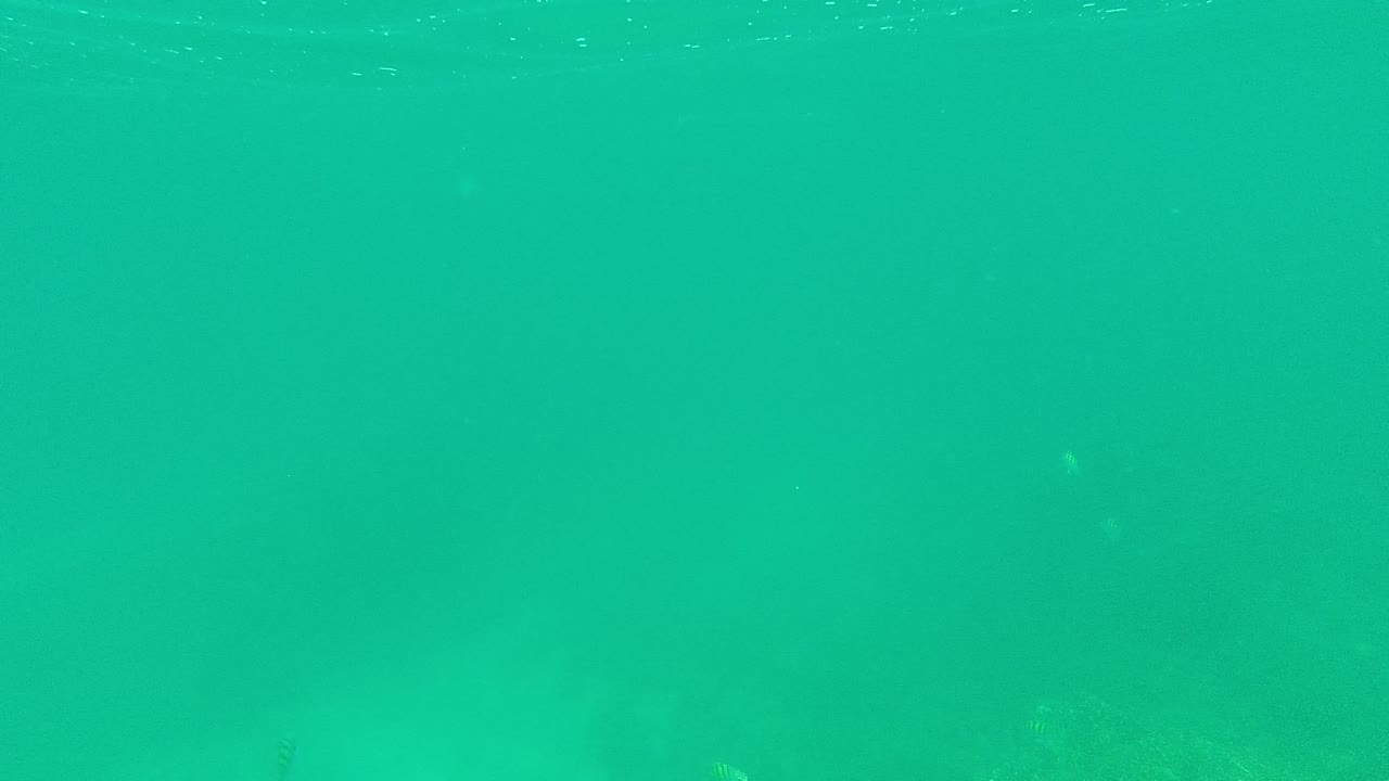 Opening underwater frame in Palmilla Los Cabos with turquoise water, faint small fish in the distance, surface ripples near the top, and no visible people.