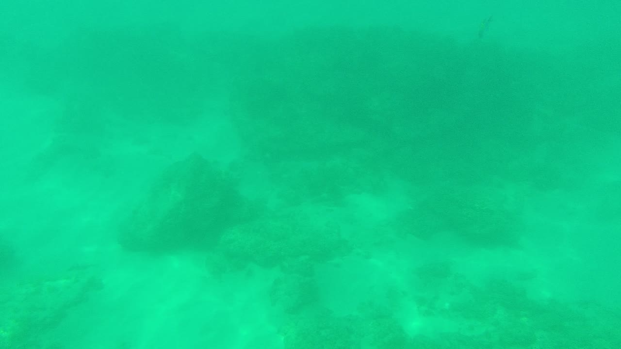 Early frame from Palmilla Los Cabos showing a turquoise underwater view over rocks and pale sand patches, with no visible people.
