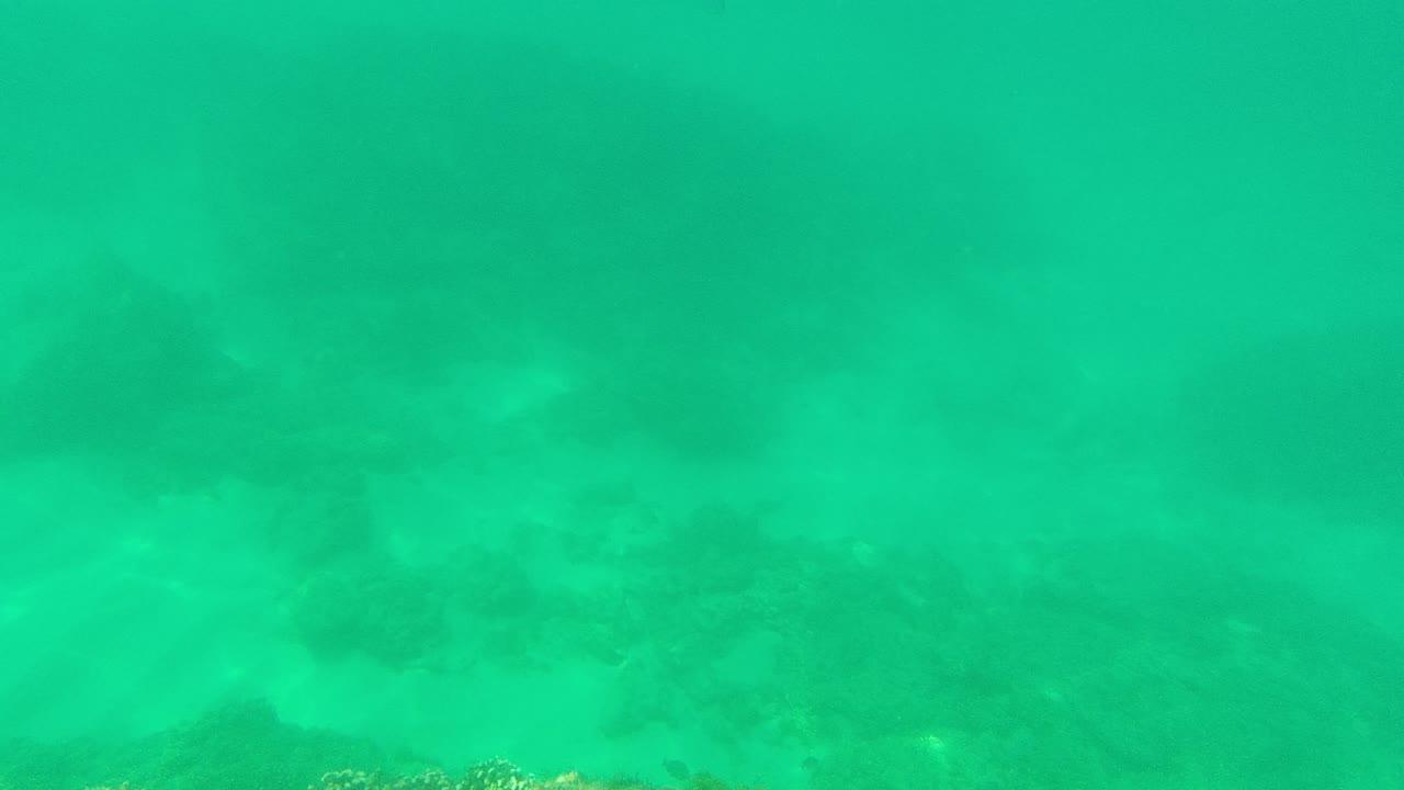 Palmilla Los Cabos underwater frame with sandy bottom, soft green water haze, and low dark rock shapes across the middle distance, no visible people.