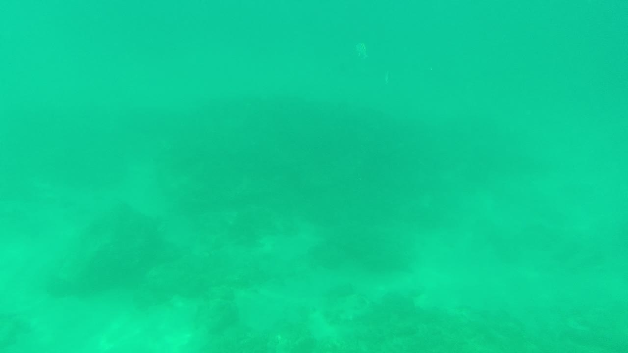 Clear shallow water in Palmilla Los Cabos shows a sandy ocean floor with several dark rocks and faint light patterns, no visible people.