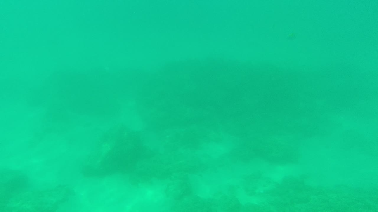 Palmilla Los Cabos seabed view with green-blue water, dark rocks set into pale sand, and a hazy upper frame, no visible people.