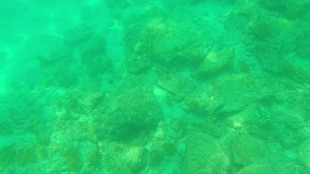 Underwater frame from Palmilla Los Cabos showing turquoise water over rocky coral and sandy seabed, with no visible people.