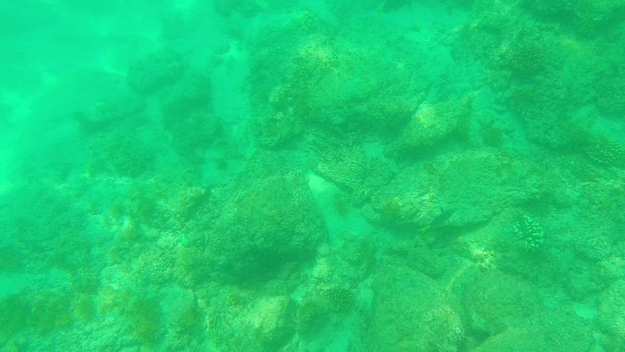 Palmilla Los Cabos underwater view with green-blue water, clustered coral rocks, and patches of pale sand, with no visible people.