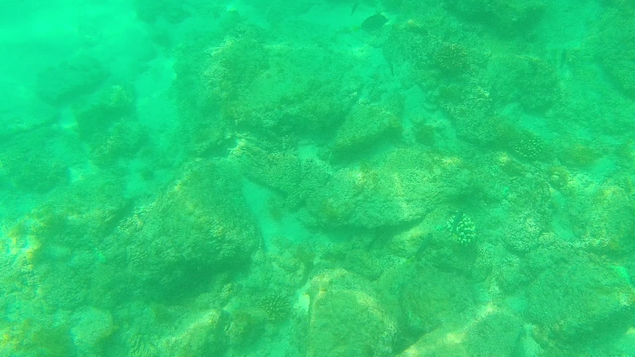 Downward underwater view in Palmilla Los Cabos with textured reef rocks visible through clear turquoise water and no visible people.