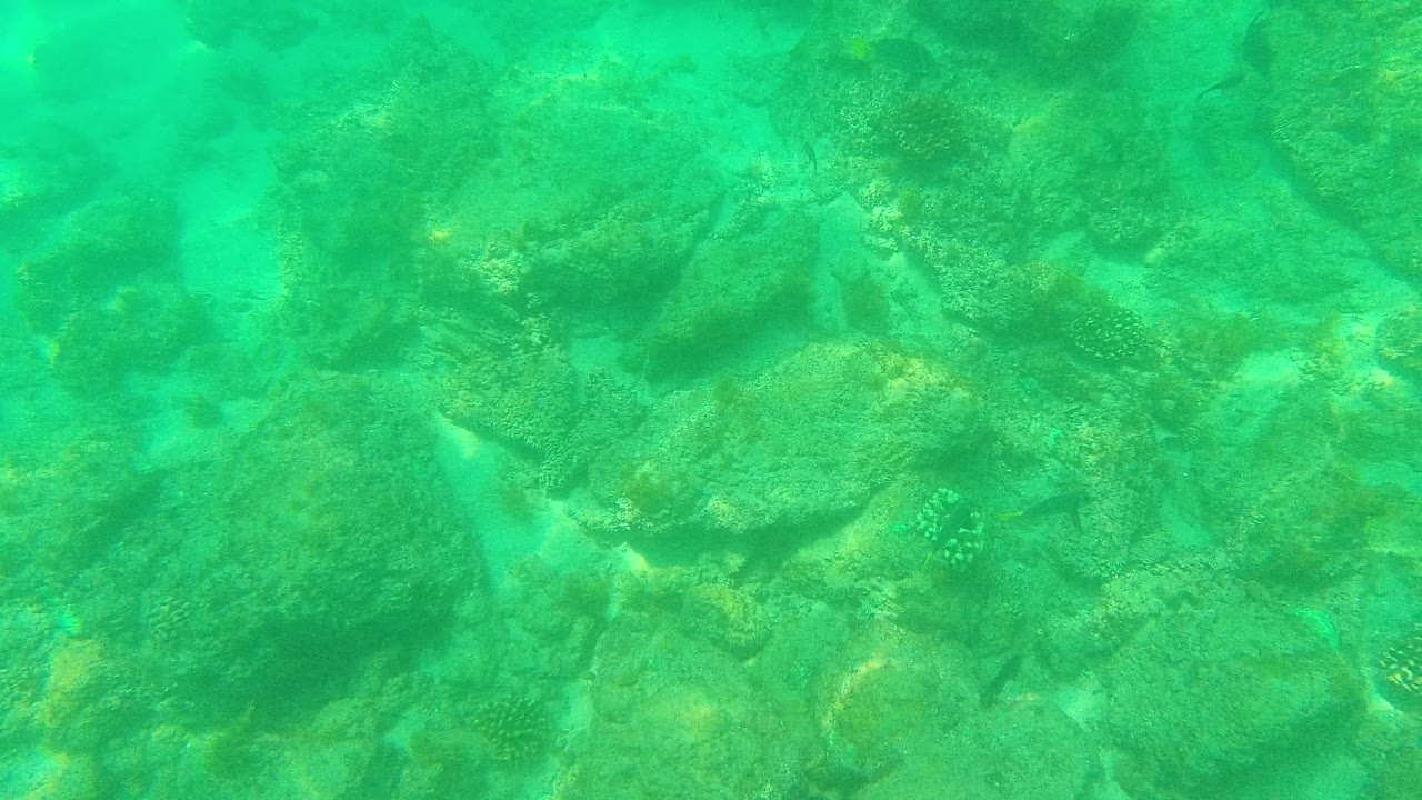 Underwater reef rocks and sandy channels in turquoise water.