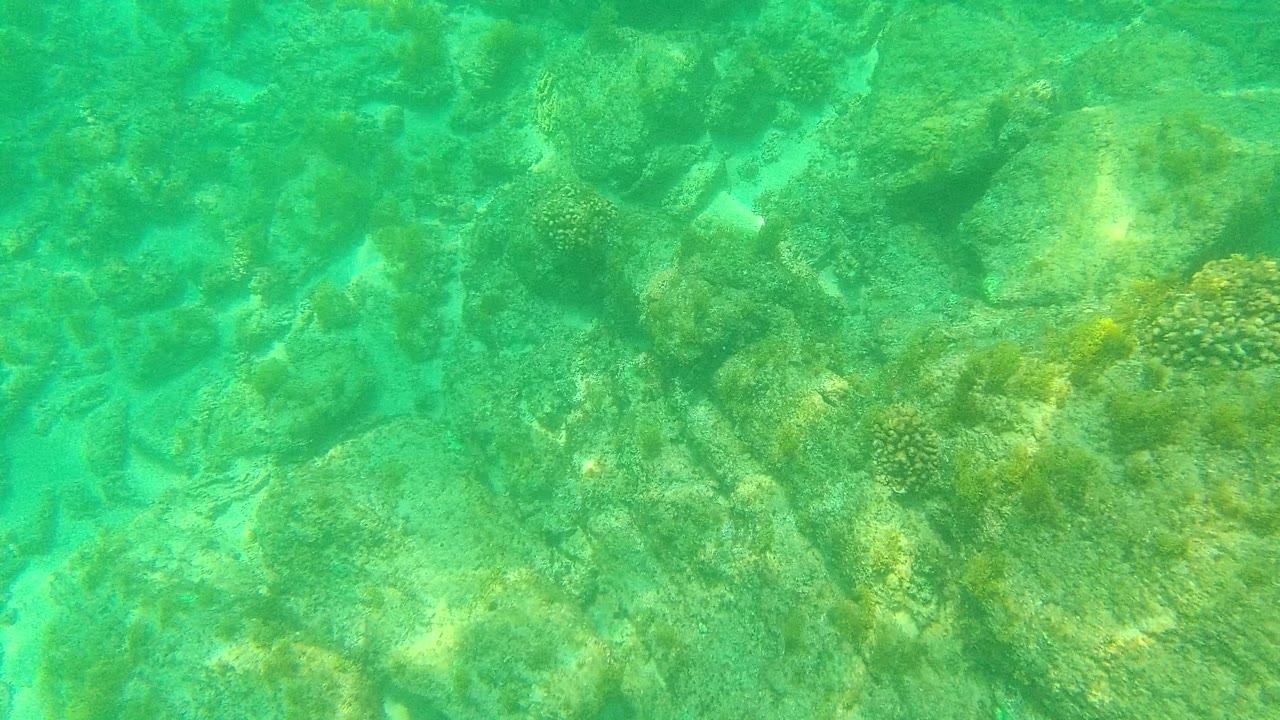 At 0:01 in Palmilla Los Cabos, the underwater view shifts across scattered rocks, sandy openings, and muted green marine growth, with no visible people.