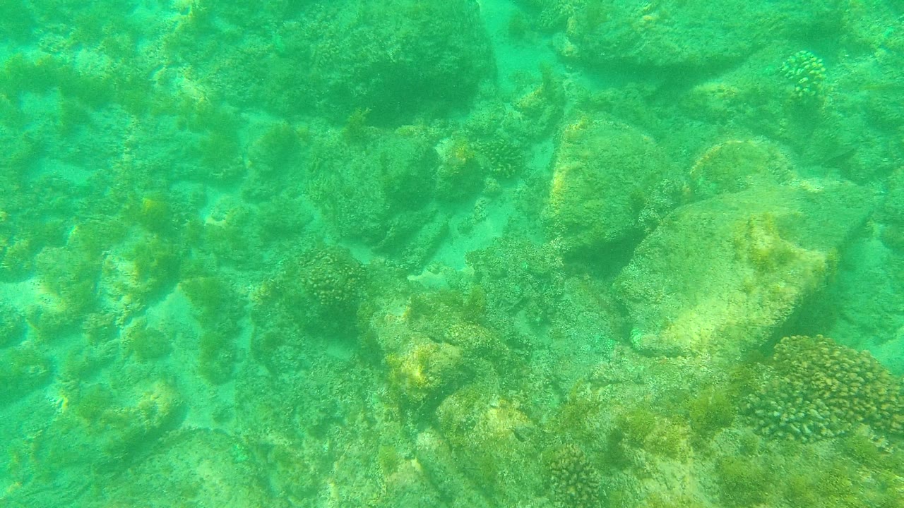 At 0:02 in Palmilla Los Cabos, larger rounded rocks and speckled reef-like patches sit below clear turquoise water, with no visible people.