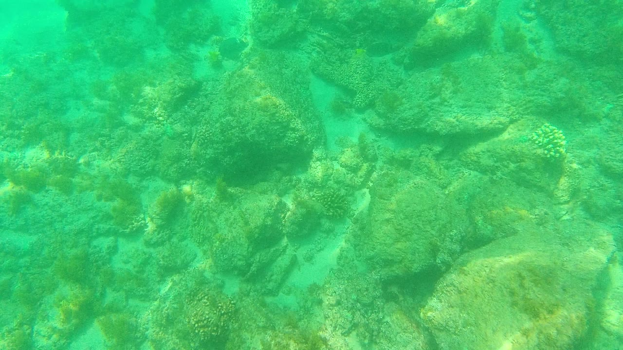 At 0:03 in Palmilla Los Cabos, the view passes over darker rocks, green algae, and a small bright reef patch near the lower right, with no visible people.