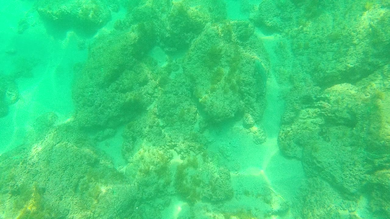 Underwater view at Palmilla Los Cabos showing turquoise water over rounded rocks, sandy channels, and small fish near the seabed with no visible people.