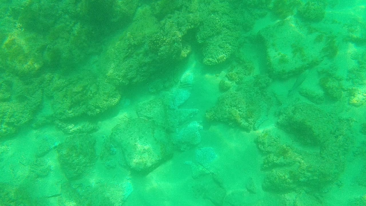 Opening underwater frame from Palmilla Los Cabos shows turquoise water over scattered rocks, sandy gaps, and reef texture with no visible people.