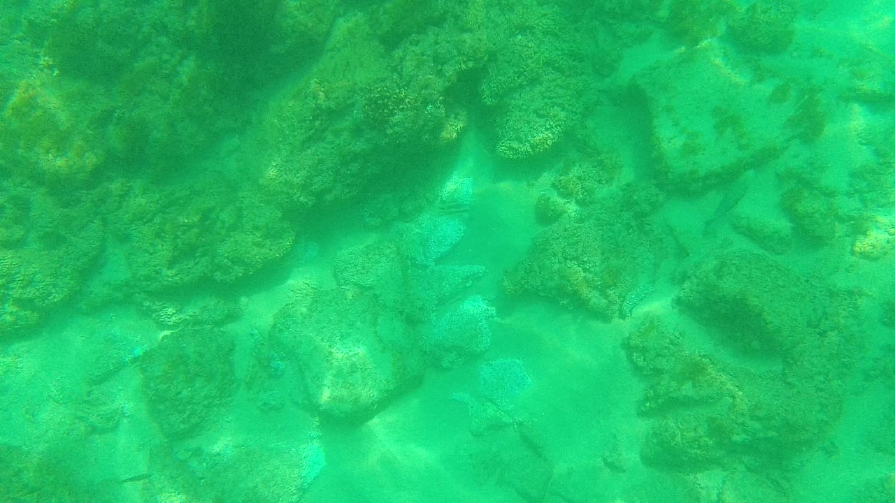 Second frame shows a similar Palmilla Los Cabos seabed angle with larger rocks near the top of frame, pale sand between them, and no visible people.