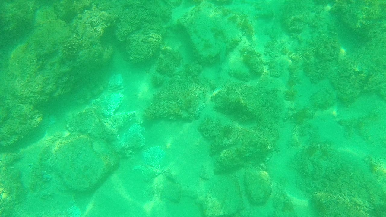 Underwater rocks with brighter sandy gaps