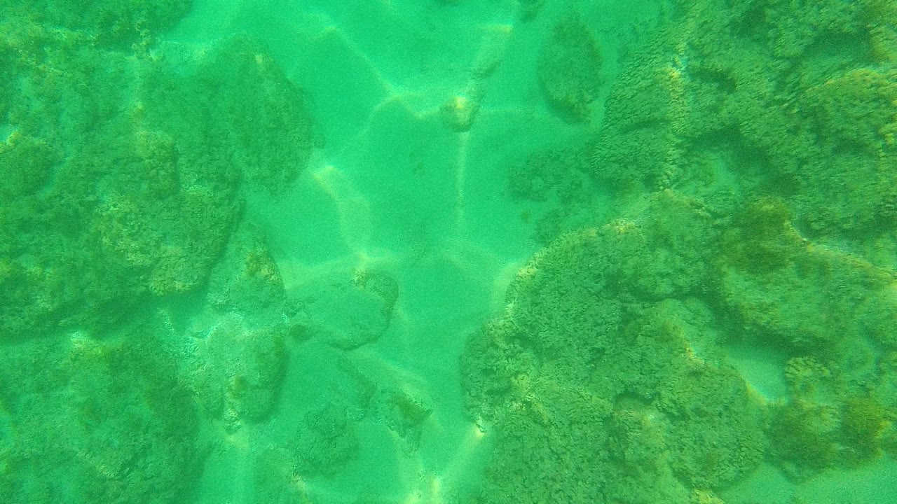 Turquoise water over algae-covered rocks