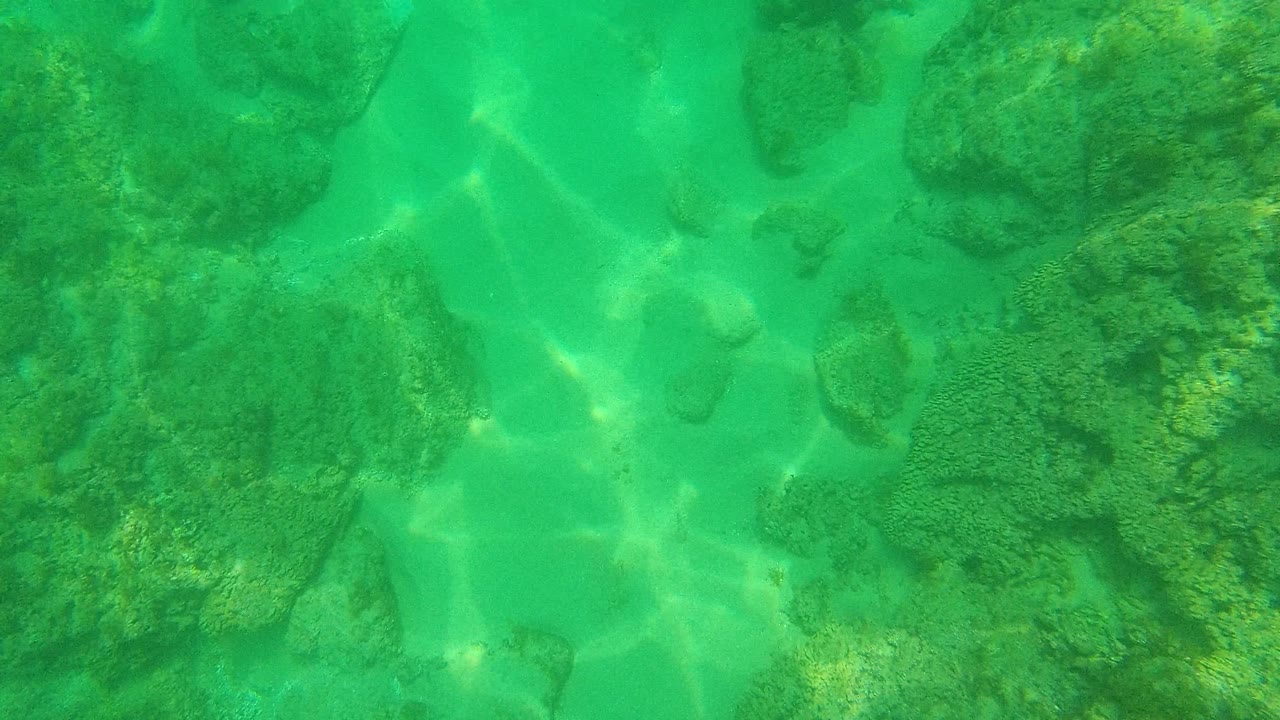 Underwater Palmilla Los Cabos frame with larger algae-covered rocks near the center, turquoise water, pale sand channels, and no visible people.