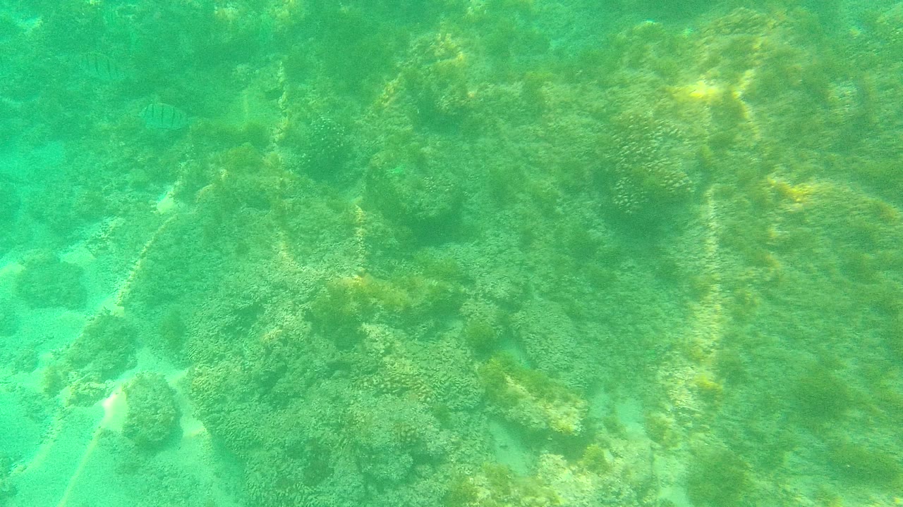 Underwater view in Palmilla Los Cabos showing green-turquoise water over a rocky seabed with pale sand pockets and no visible people.