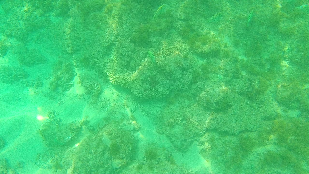Turquoise underwater reef with coral rocks and sandy patches