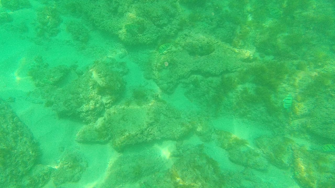 Turquoise underwater view of rocks and sandy seabed.