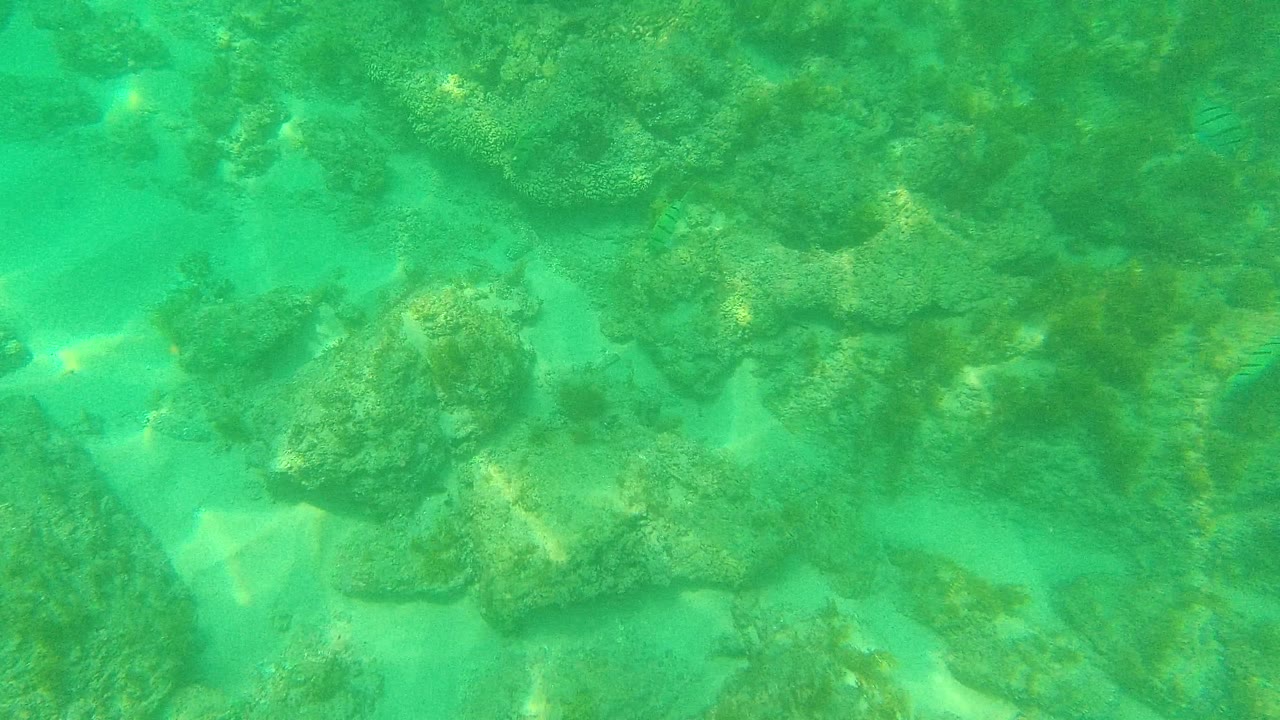 At 0:02, rounded underwater rocks and lighter sand patches are visible through clear turquoise-green water in Palmilla Los Cabos, Mexico, with no visible people.