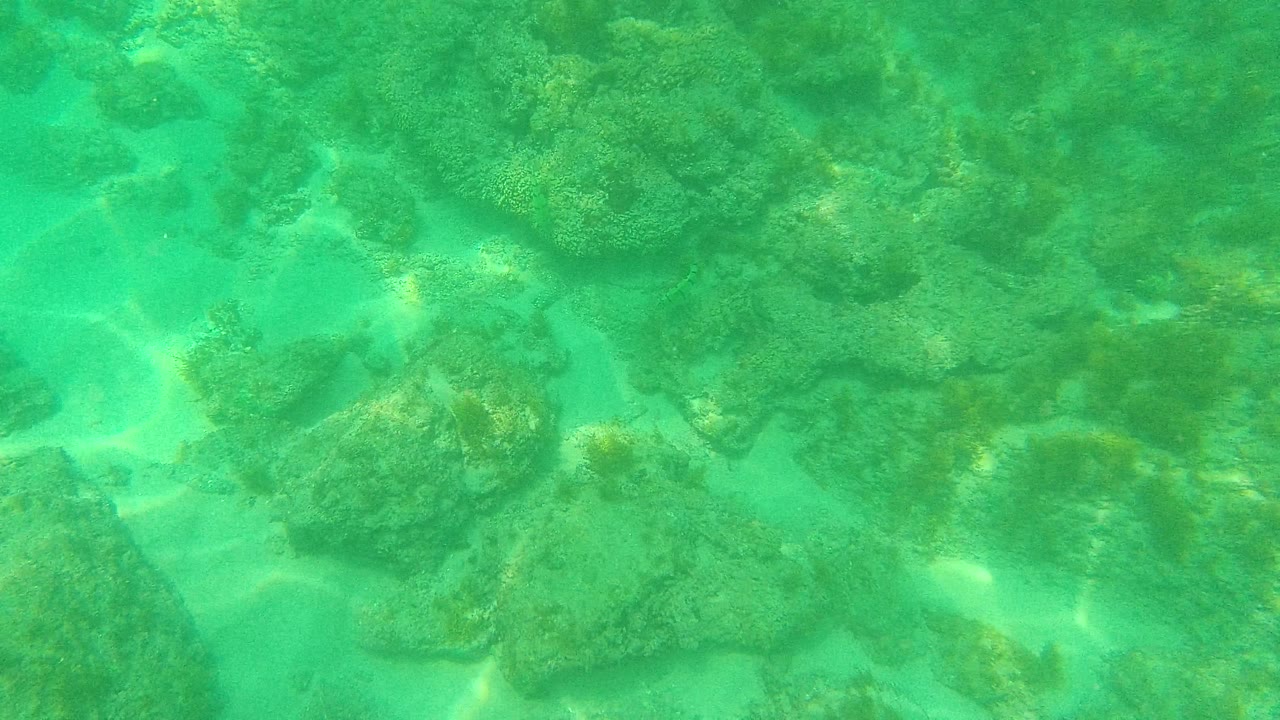 At 0:03, the underwater view shows larger rock clusters across the midframe, sandy bottom between them, and no visible people in Palmilla Los Cabos, Mexico.
