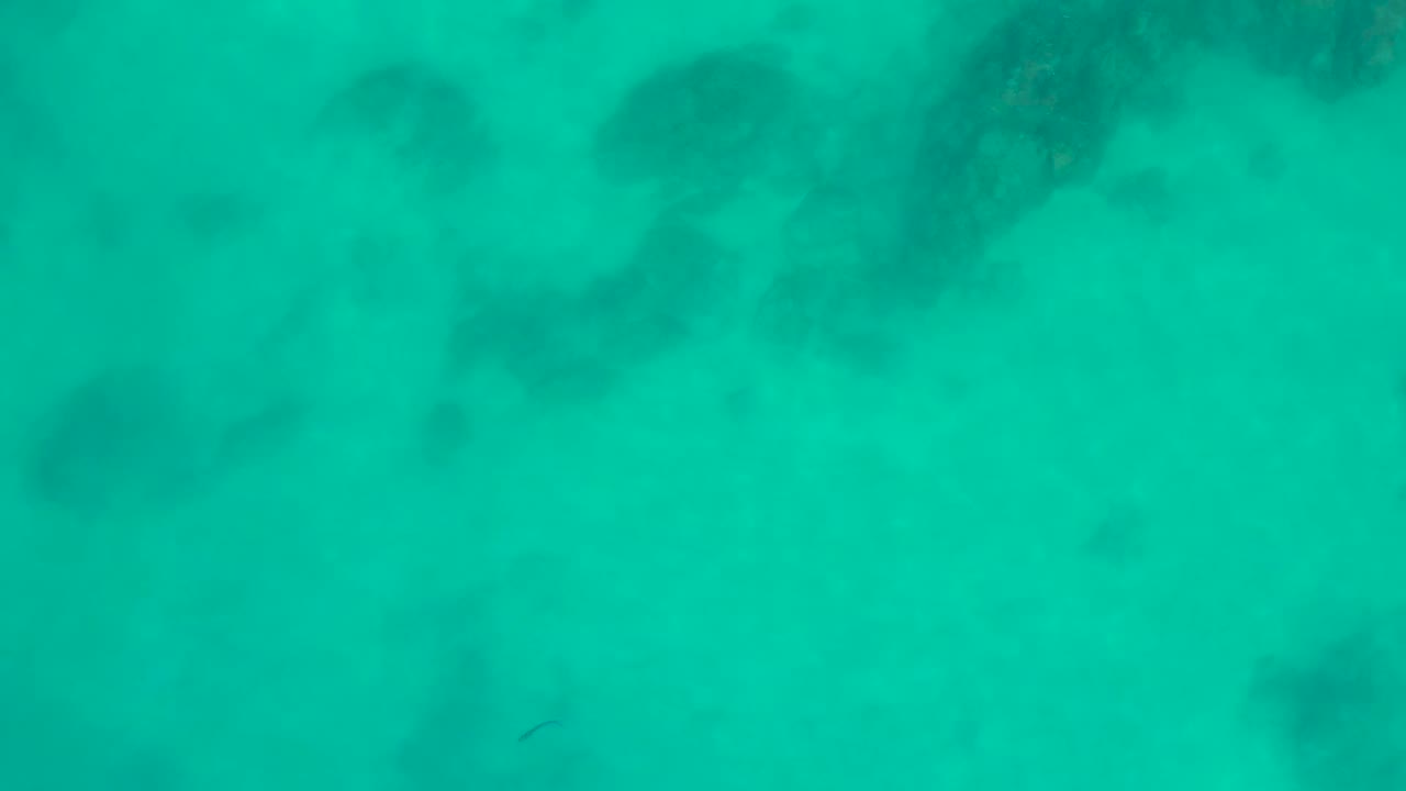 Clear turquoise ocean water fills the frame with scattered darker reef forms below the surface at Shipwrecks Los Cabos, with no visible people.