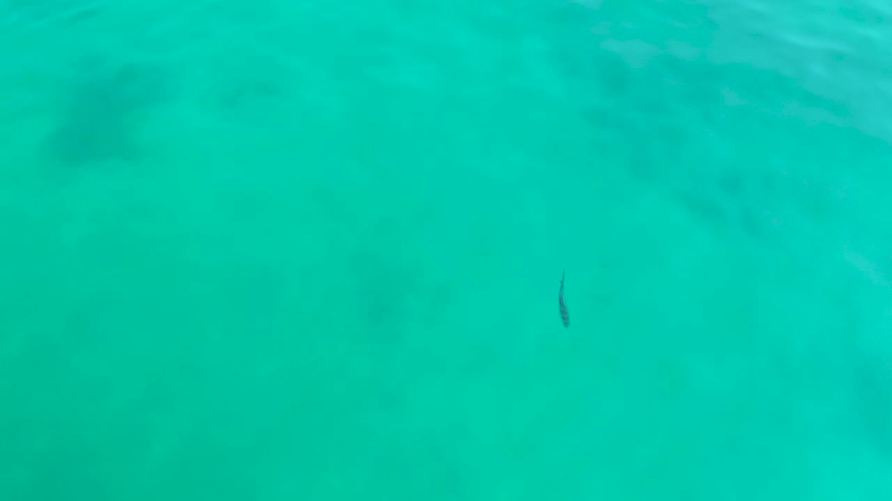 At one second, the small fish appears slightly lower in the blue-green water, with pale seabed shapes faintly visible and no visible people.