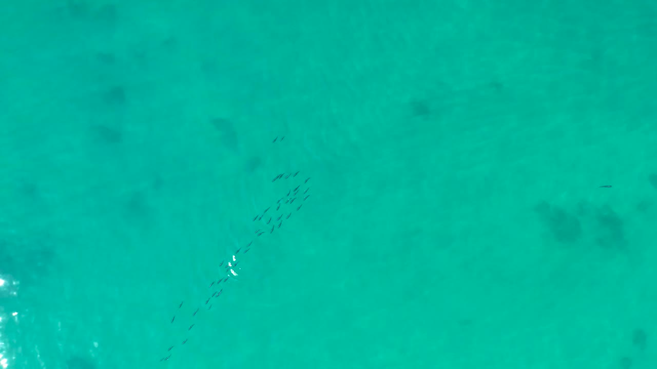 The school of fish appears slightly farther across the turquoise water at Shipwrecks Los Cabos, with a bright reflection lower in frame and no visible people.