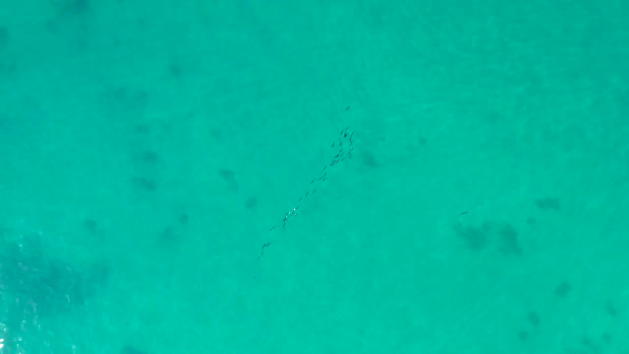 Overhead view at Shipwrecks Los Cabos showing turquoise water, dark reef patches, and a faint diagonal school of fish near the upper portion of the frame, with no visible people.