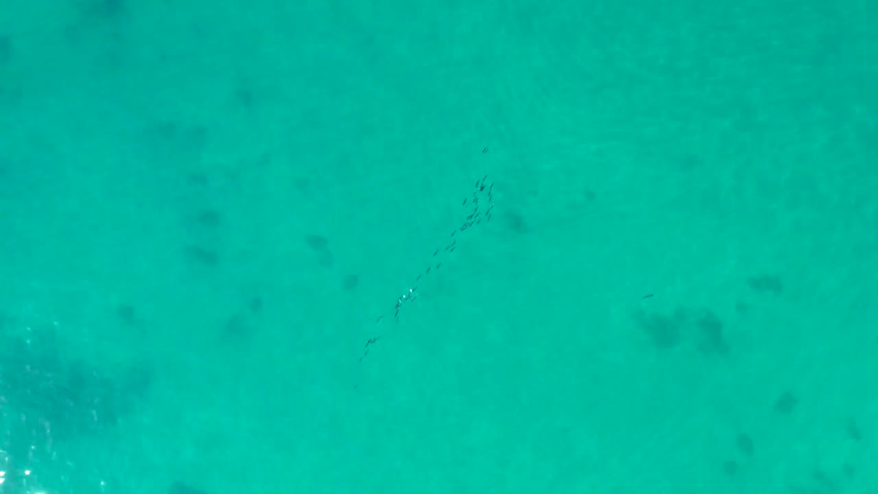 Aerial frame from Shipwrecks Los Cabos with a thin school of fish crossing turquoise water between darker underwater reef areas, with no visible people.
