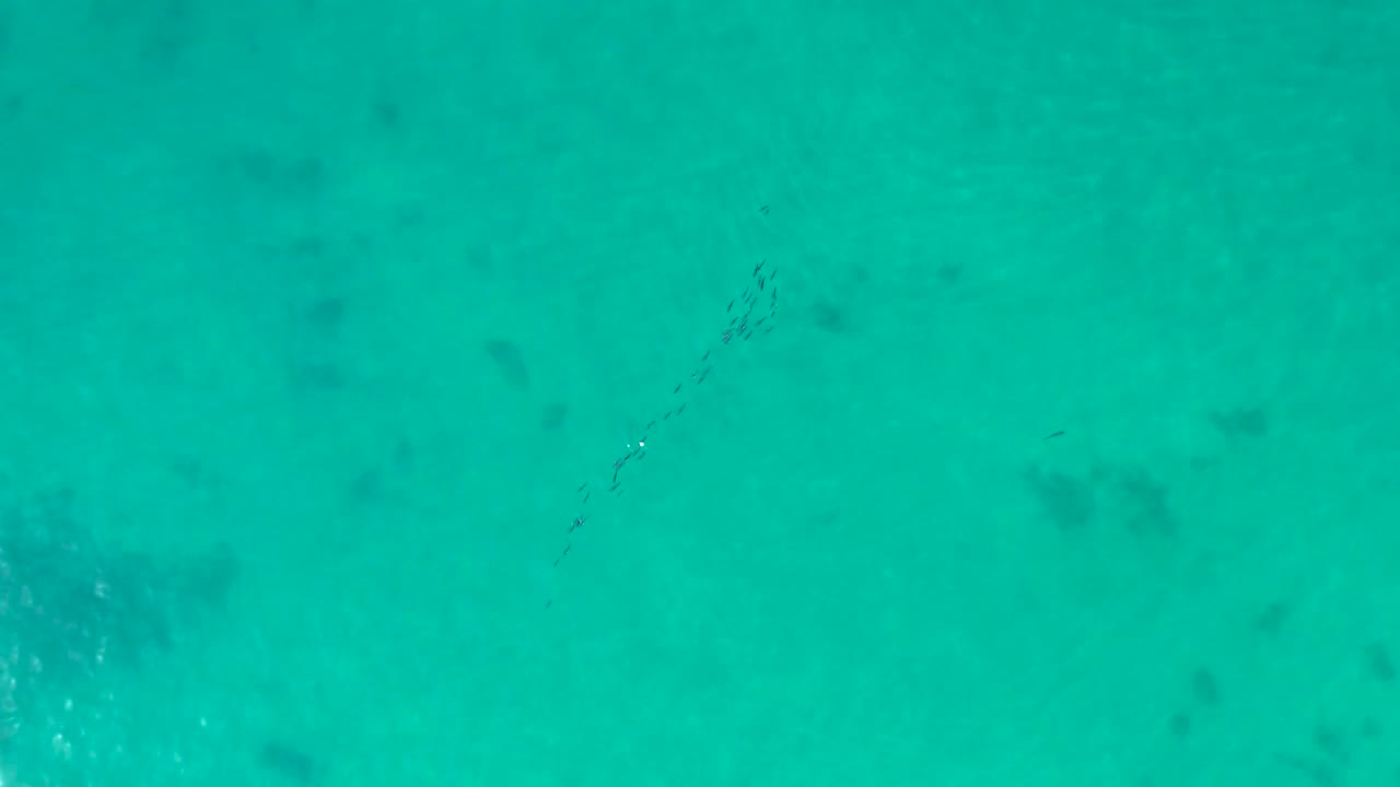Overhead turquoise water at Shipwrecks Los Cabos with a faint fish school angled through the frame and scattered dark reef shadows below, with no visible people.