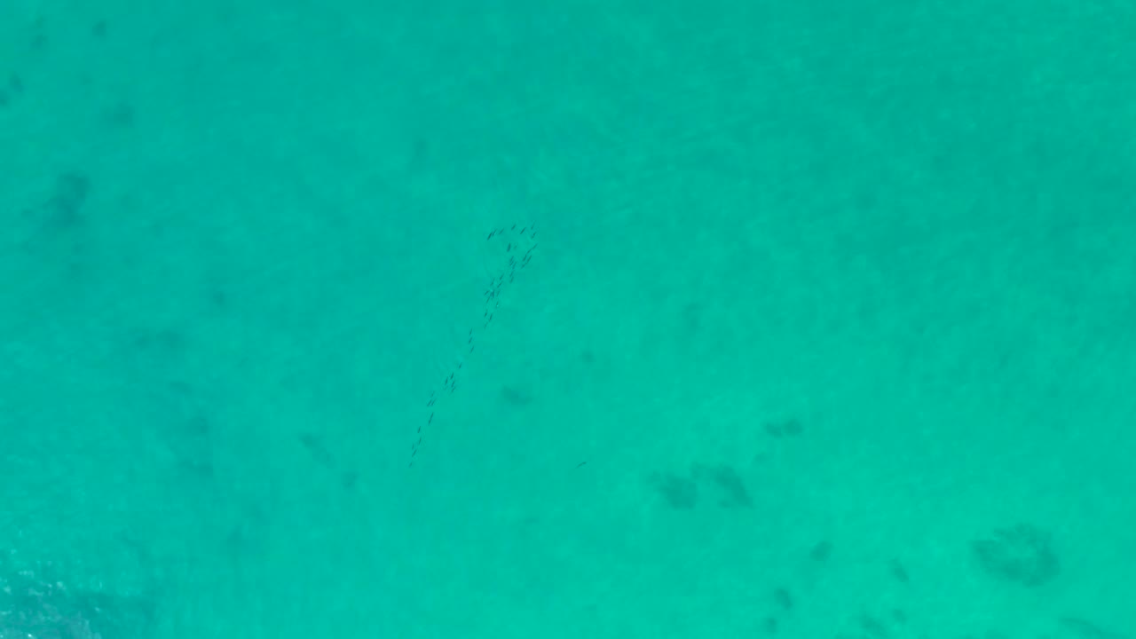 Overhead view of clear turquoise water at Shipwrecks Los Cabos with dark seabed patches, faint fish near the upper right, and no visible people.