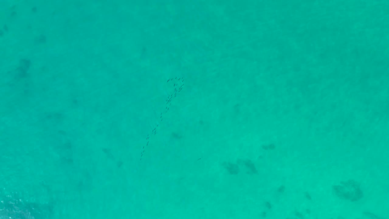 Clear turquoise water with scattered dark seabed marks and a small fish group.