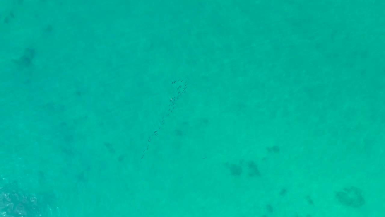 Overhead shallow water view in Shipwrecks Los Cabos with blue-green color, soft underwater patches, faint fish marks, and no visible people.