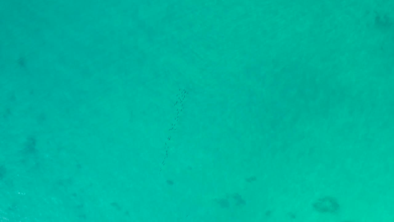Turquoise ocean water with dark underwater reef patches.