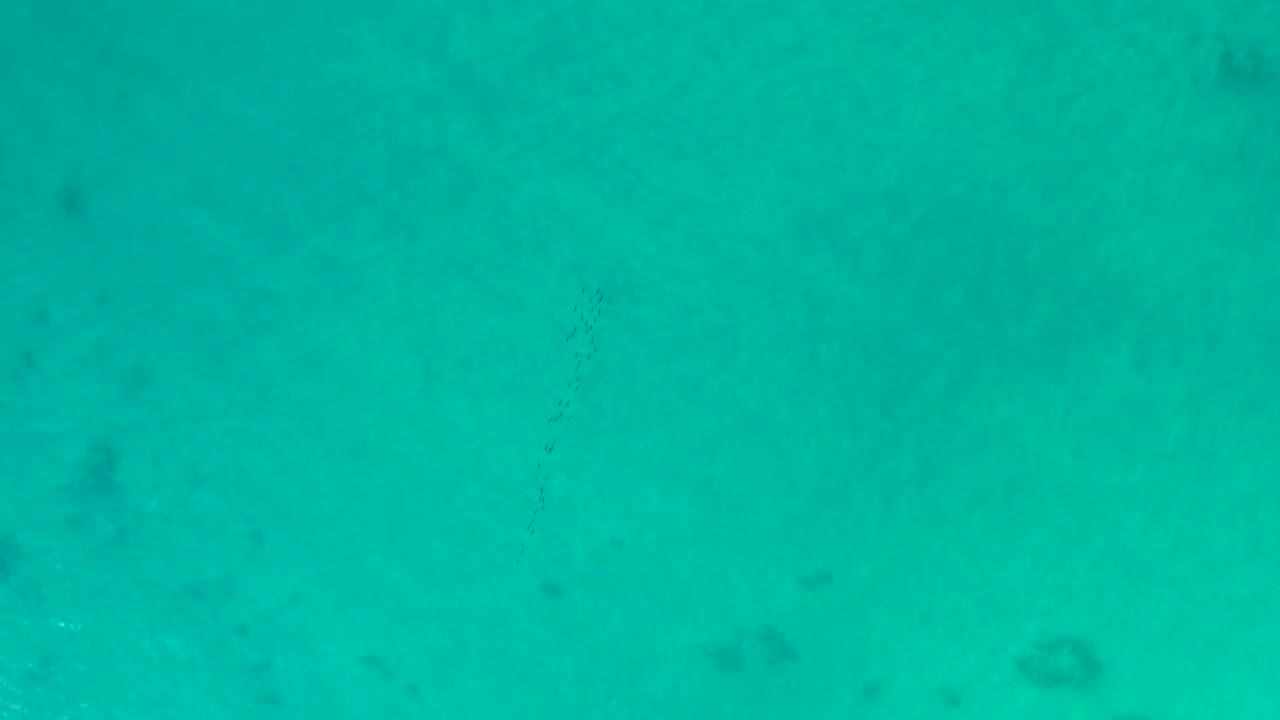 Clear turquoise seawater in Shipwrecks Los Cabos with slightly blurred darker coral or reef shapes visible below and no visible people.