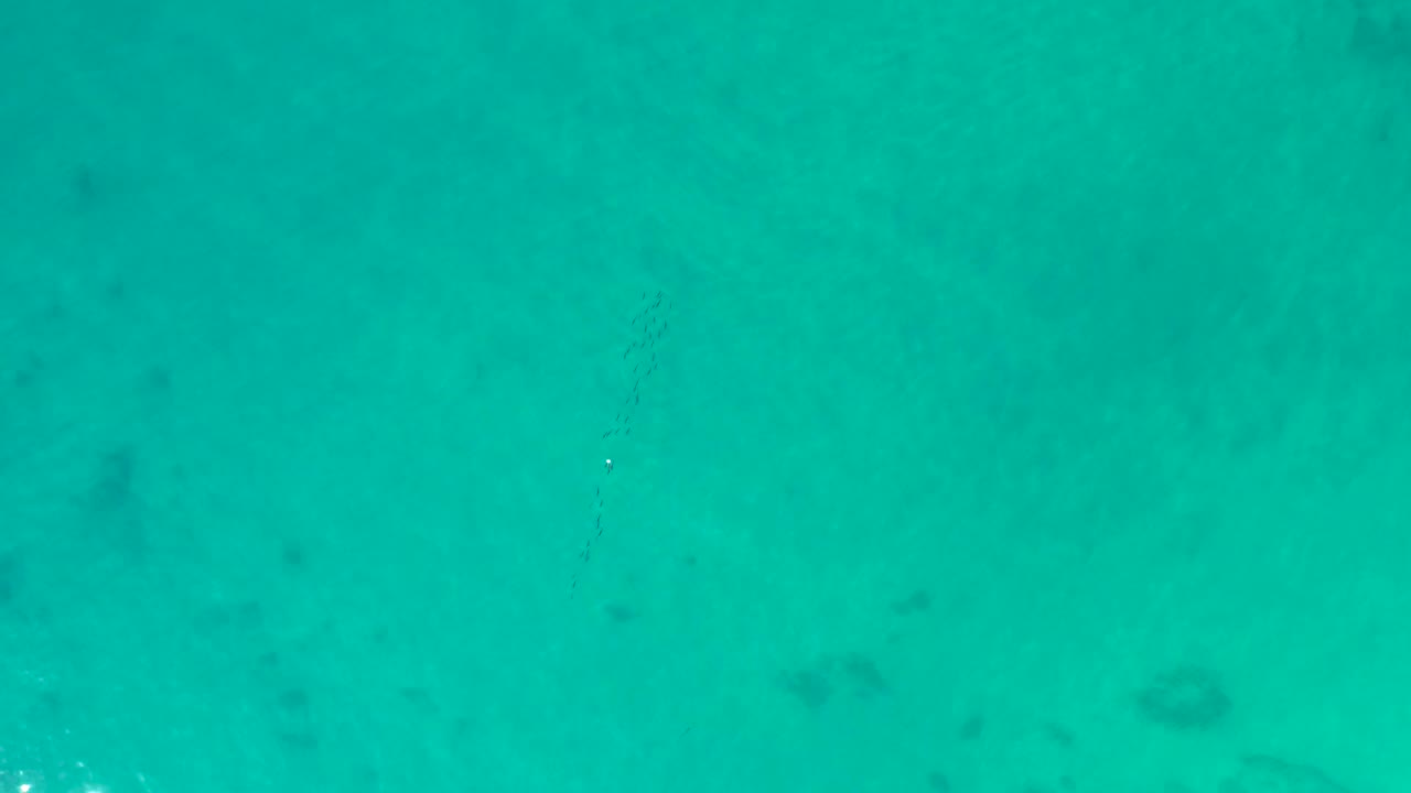Aqua-toned overhead ocean view at Shipwrecks Los Cabos with scattered dark underwater patches across the frame and no visible people.
