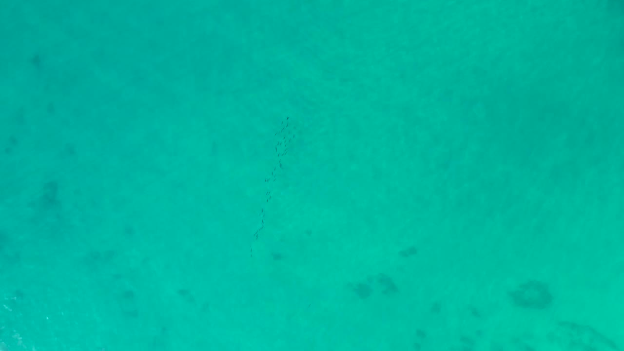 Turquoise water at Shipwrecks Los Cabos with faint reef marks and a few small white glints on the surface, with no visible people.